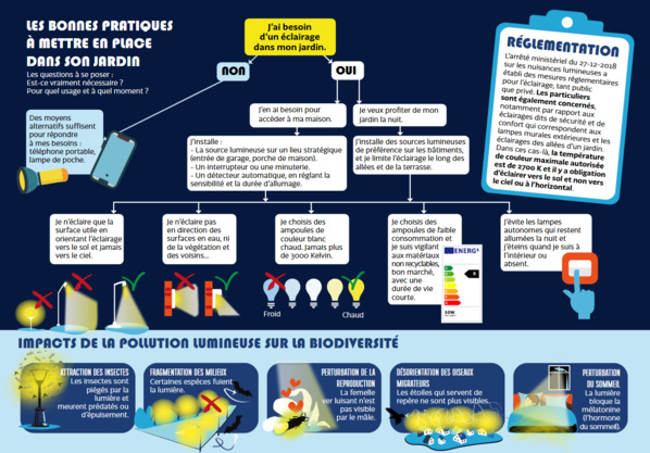 La nuit est belle. Agissons sur l'éclairage de nos jardins